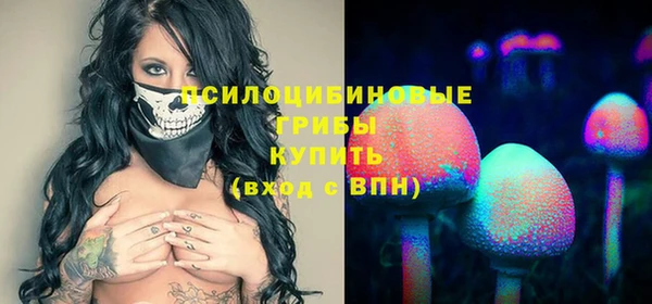 первитин Медвежьегорск