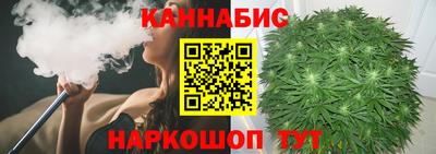 гидра Кингисепп