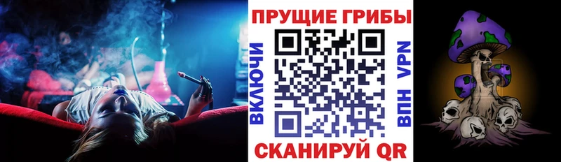 Галлюциногенные грибы GOLDEN TEACHER  где купить наркотик  Усть-Джегута 
