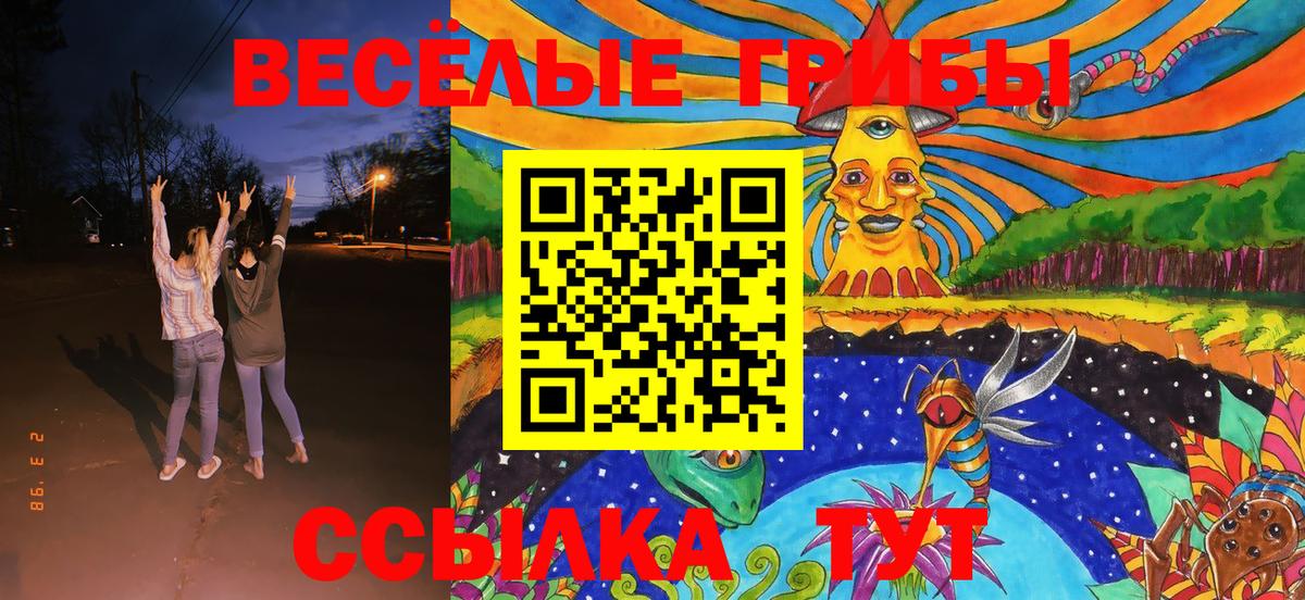 Псилоцибиновые грибы Cubensis  Вход с VPN  Усть-Джегута 